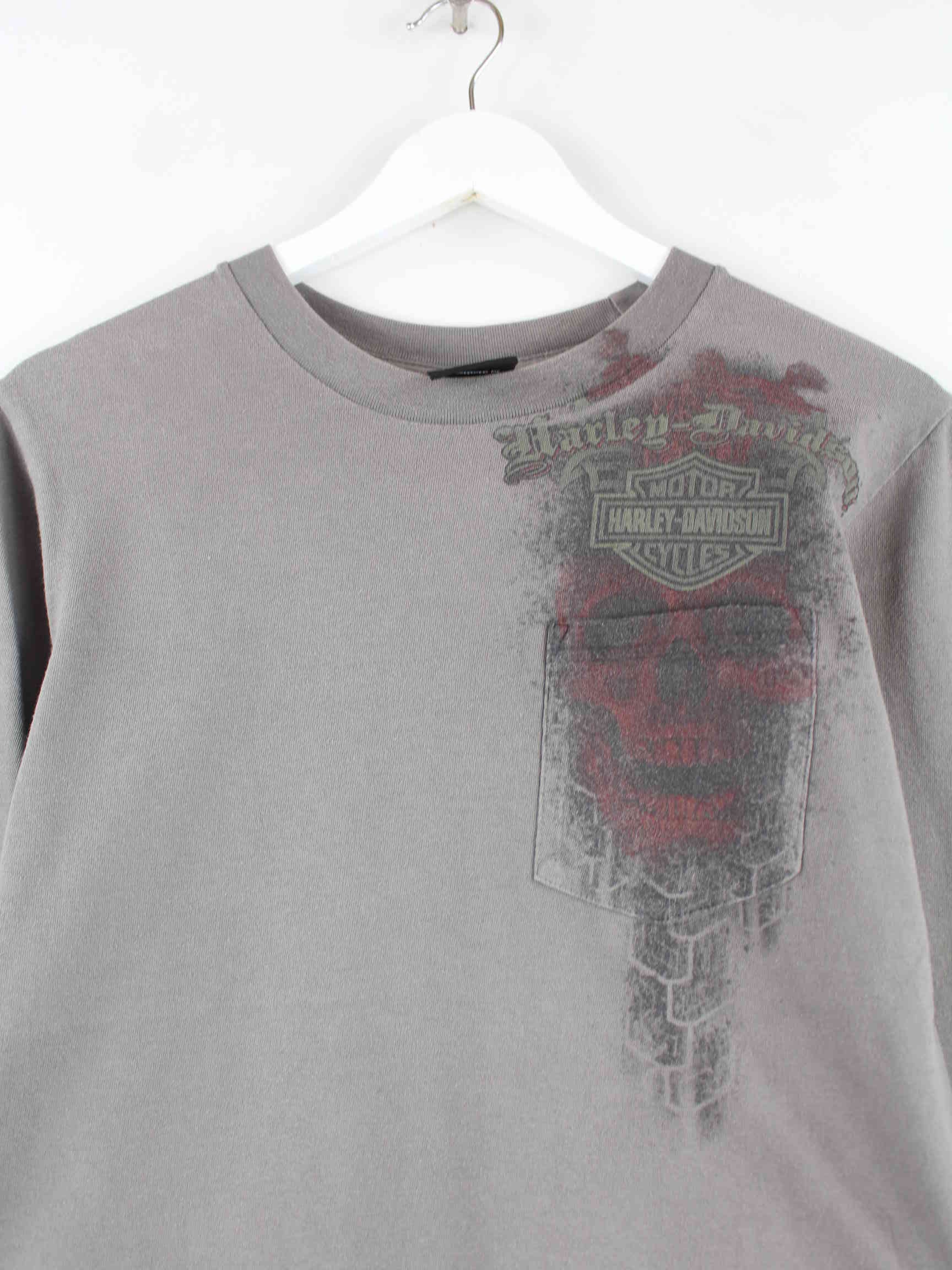 Harley Davidson El Paso Texas Print Sweatshirt Grau M (detail image 1)