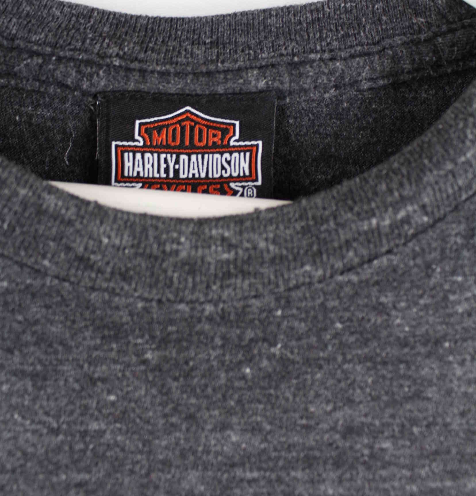 Harley Davidson Sandusky Ohio Print T-Shirt Grau L (detail image 2)