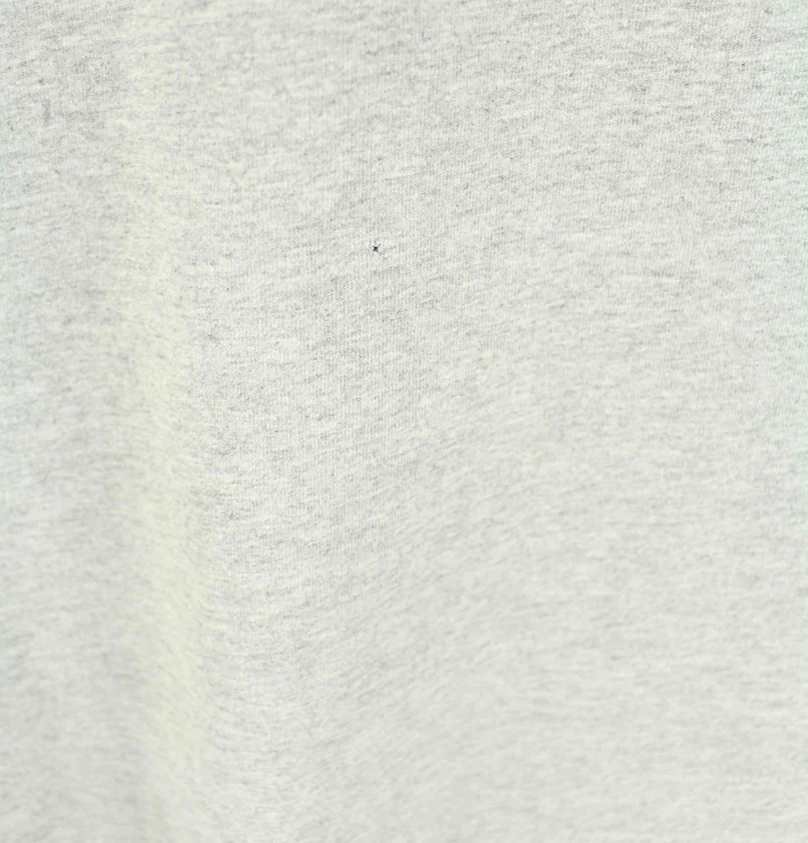 Russell Athletic Highlanders Print T-Shirt Grau XXL (detail image 3)