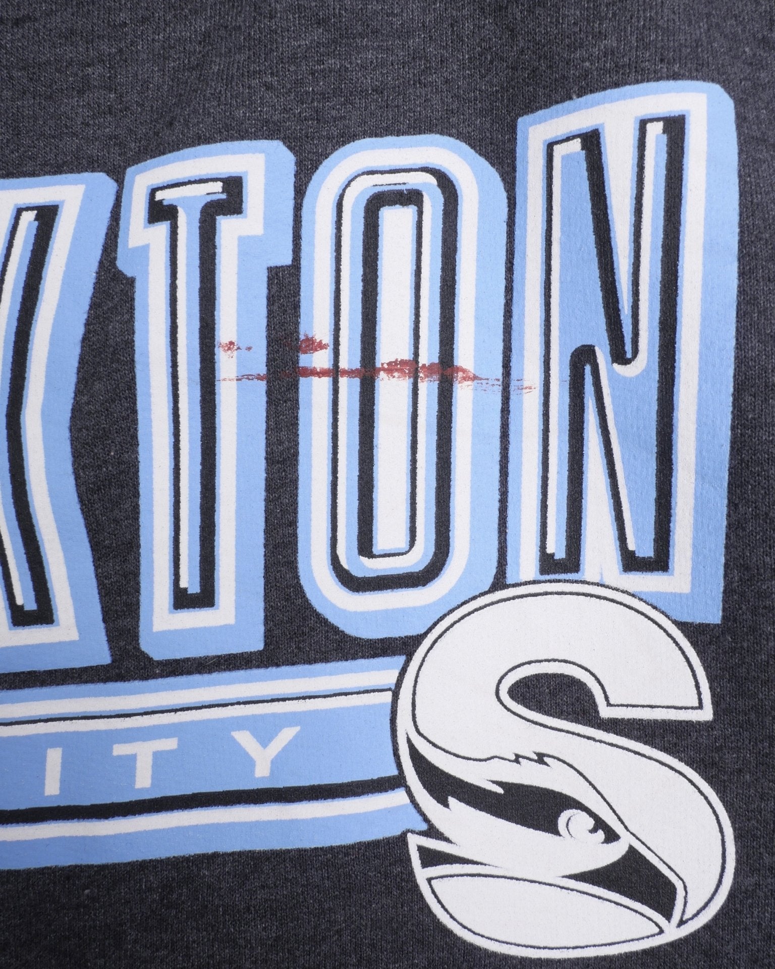 Champion embroidered Logo 'Stockton University' grey Sweater - Peeces