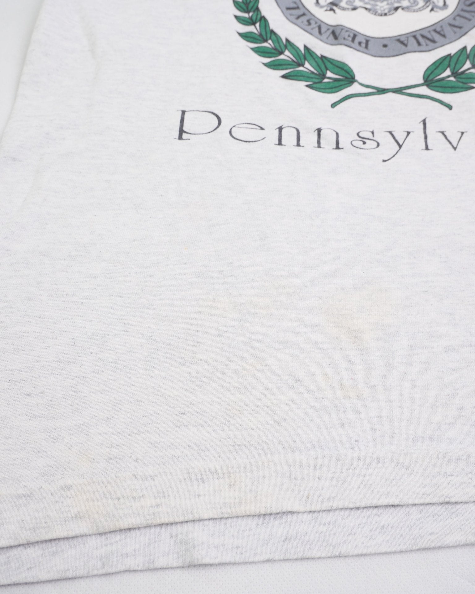 Drexel Hill Pennsylvania printed Graphic grey Shirt - Peeces